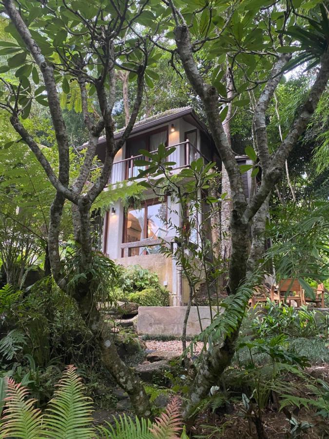 Fern Hill Villa,1498688161:JPEG