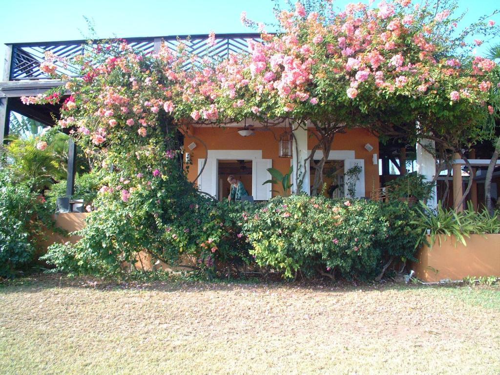 Honeymoon,10383915:JPEG