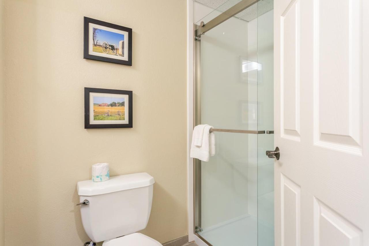 Double Room - Disability Access,1074474478:JPEG