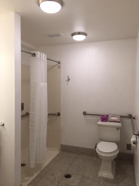 King Room Roll Shower Disability Access