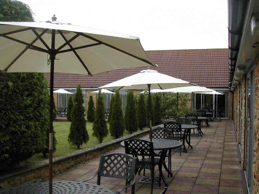 Half Suite Double,10543891:JPEG