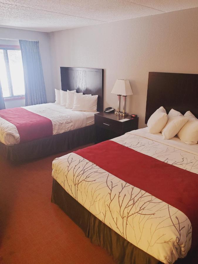 Queen Room Two Queen Beds Pet Friendly