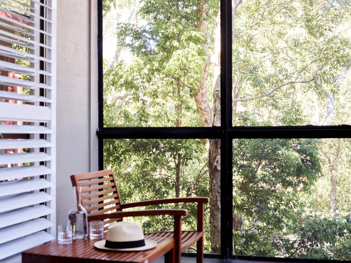 Rainforest King Suite,1139159215:JPEG