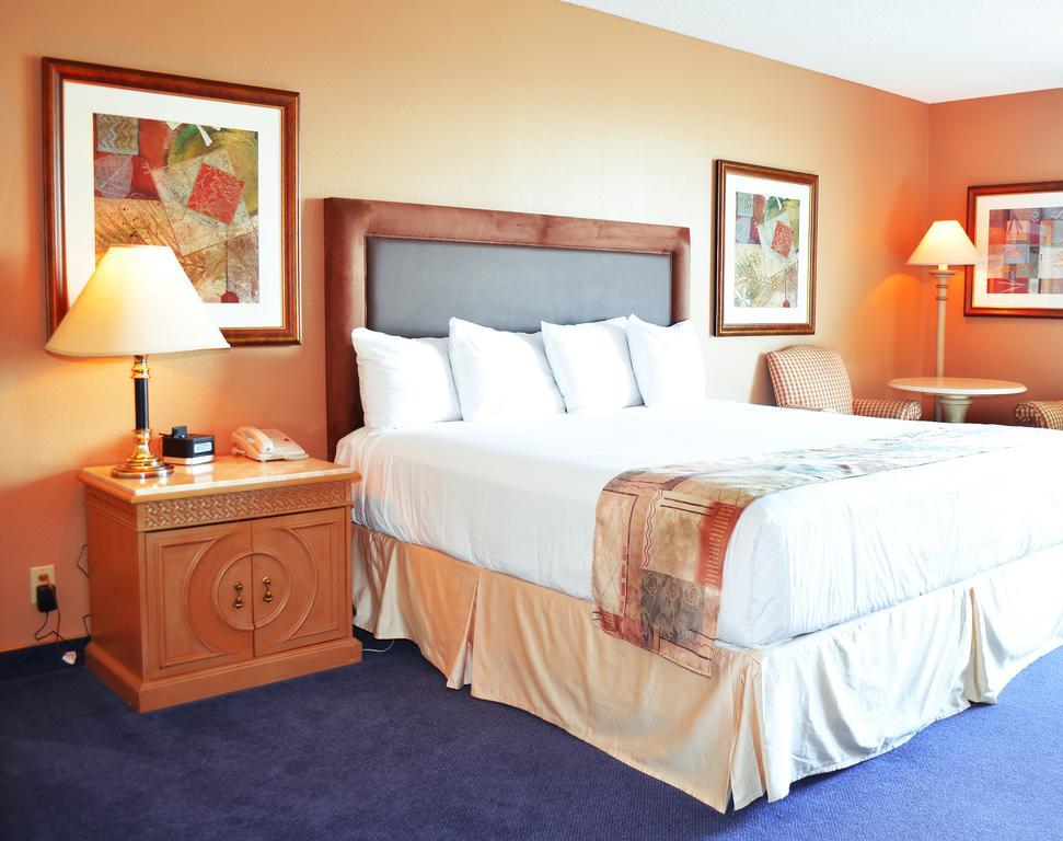 King Room with River View,113663135:JPEG