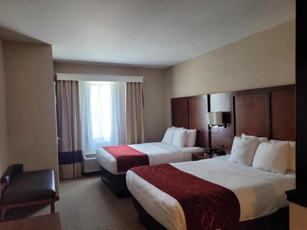 Queen Suite with 2 Queen Beds and Sofabed,1146918883:JPEG