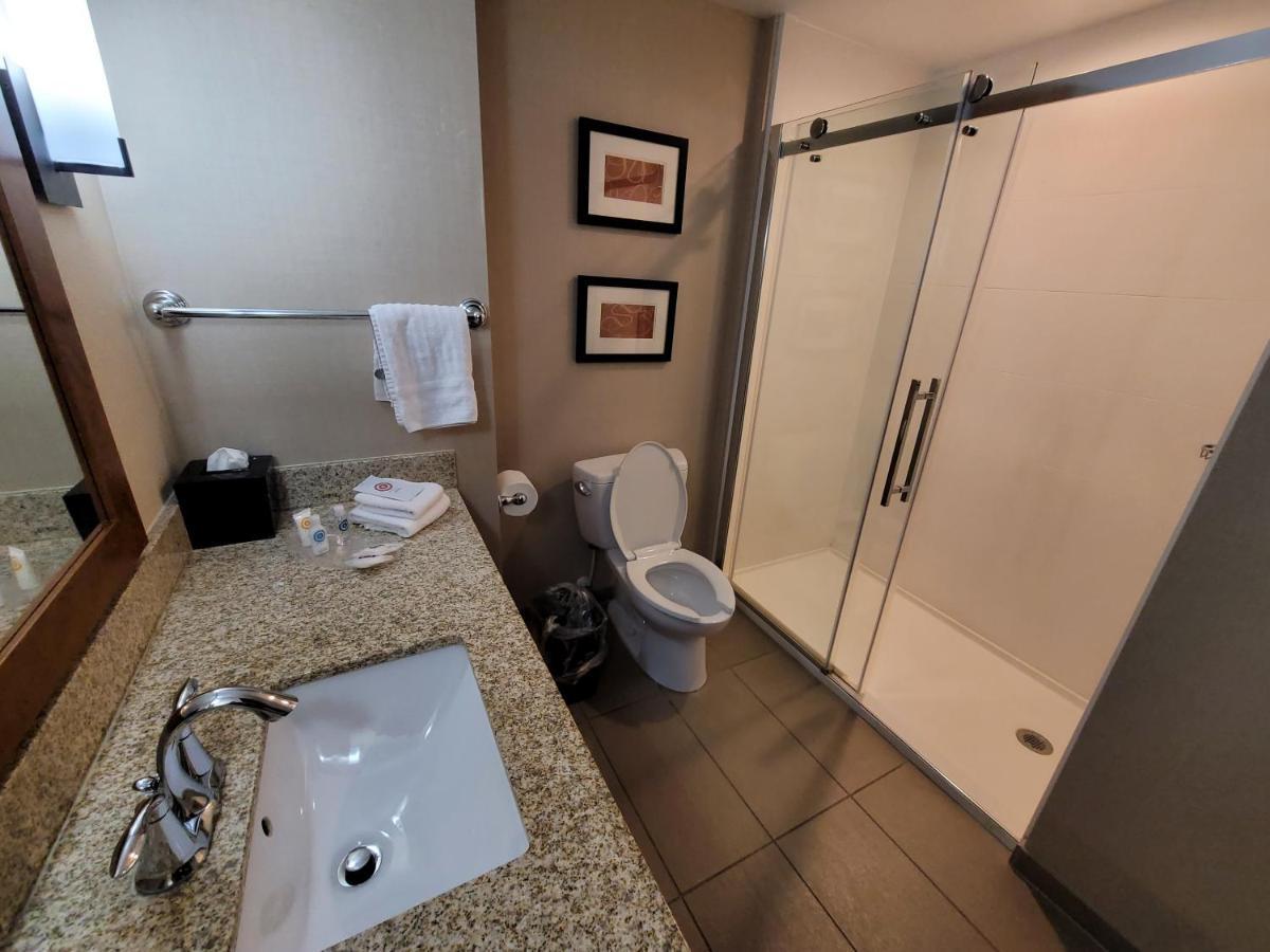 King Suite with Sofa Bed,1146925861:JPEG