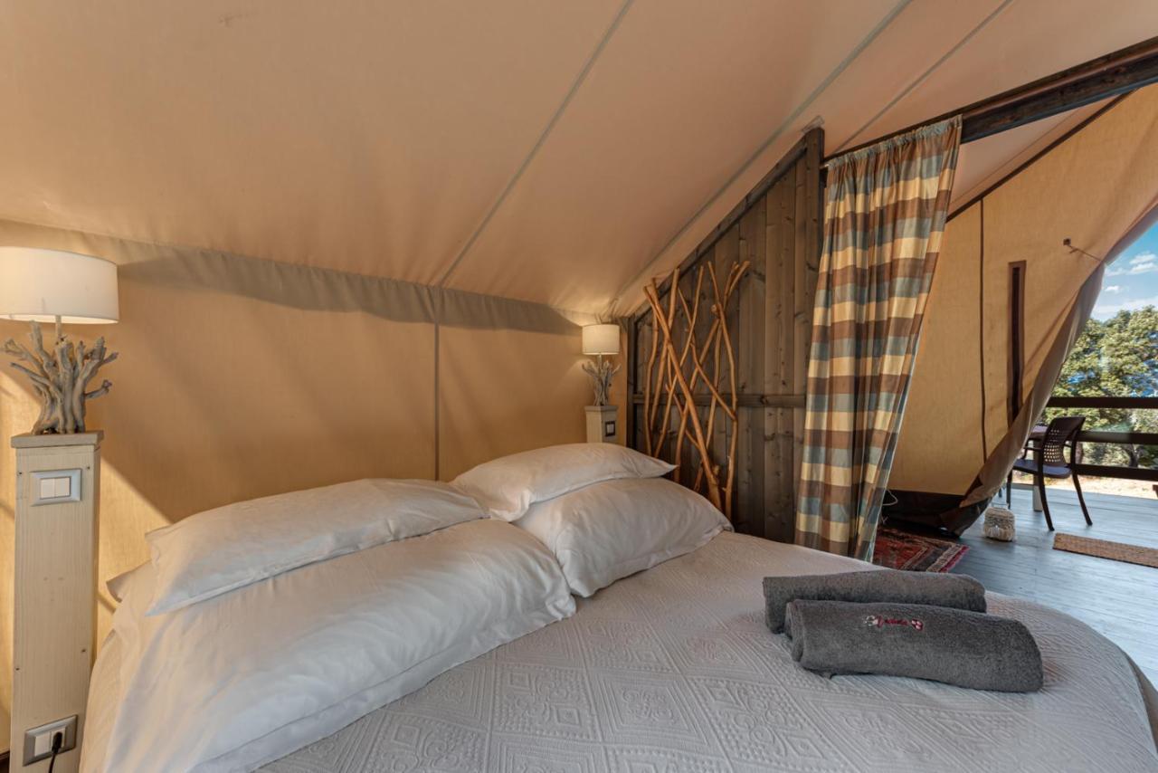 Tenda Safari
