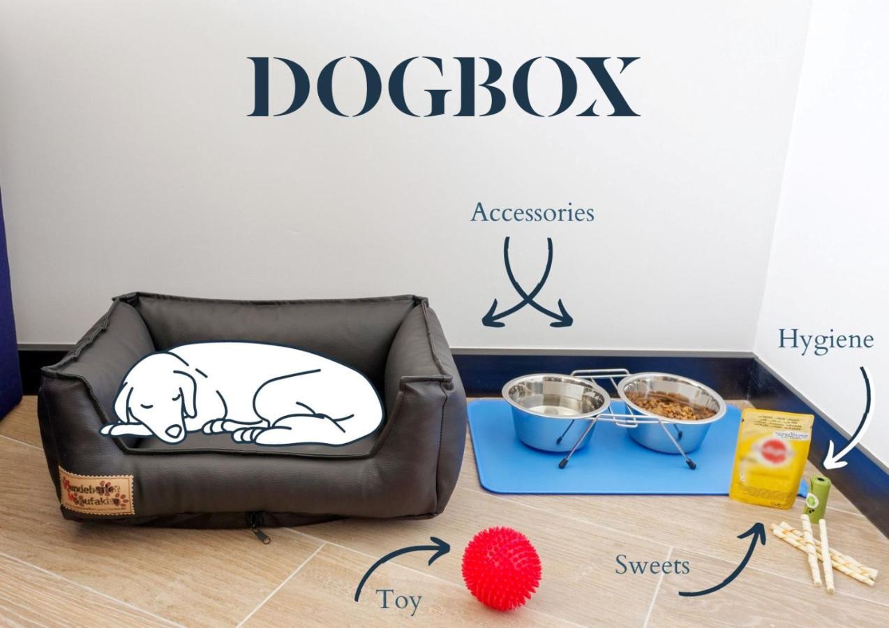 Superior Triple Room,1742572752:JPEG