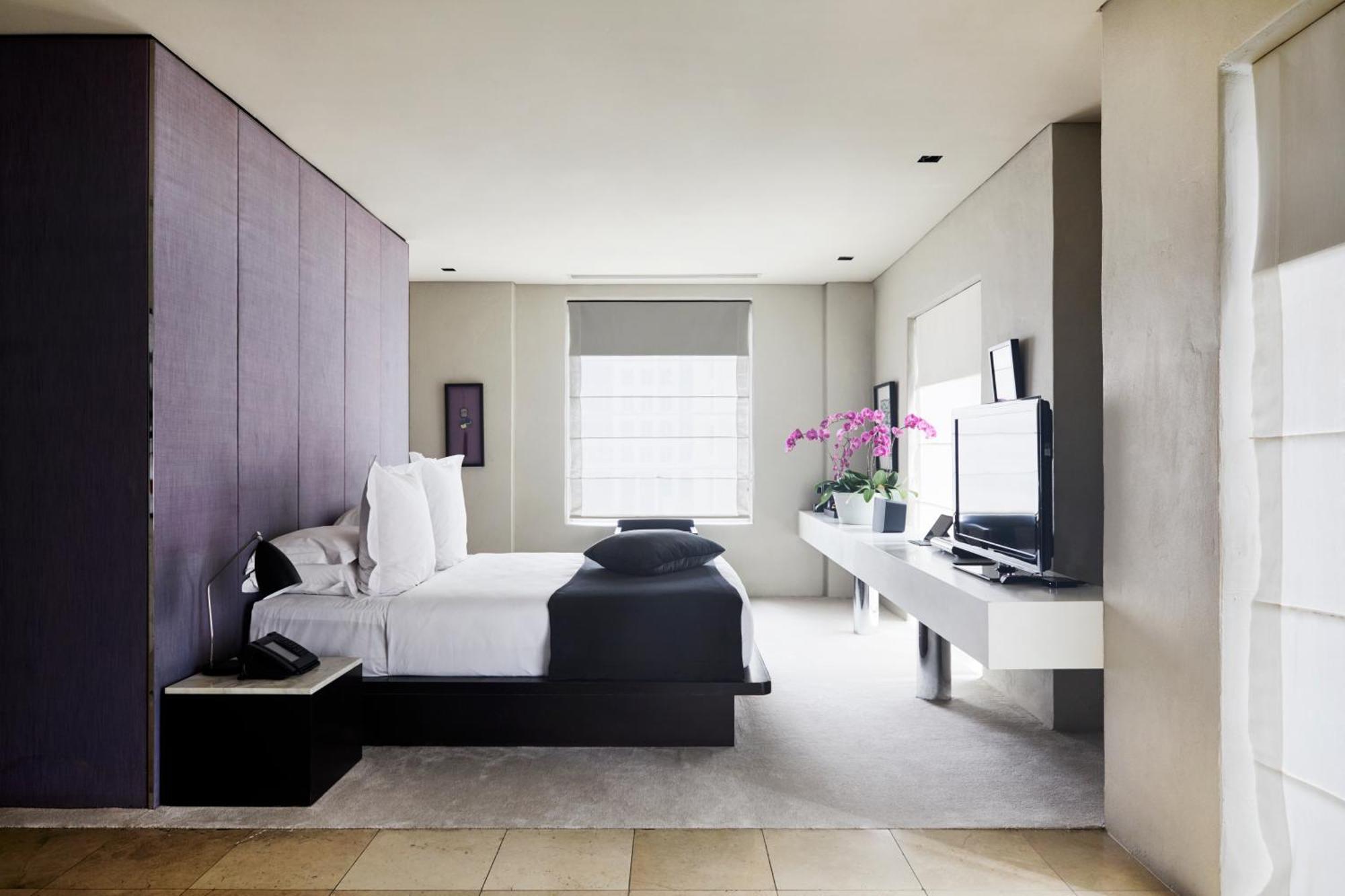 Duplex Penthouse