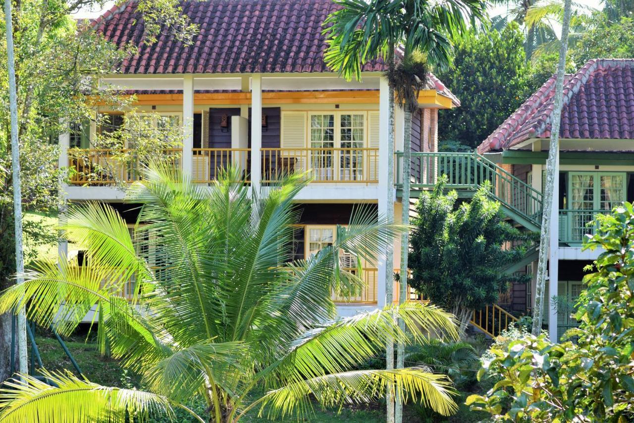 Deluxe Cottage