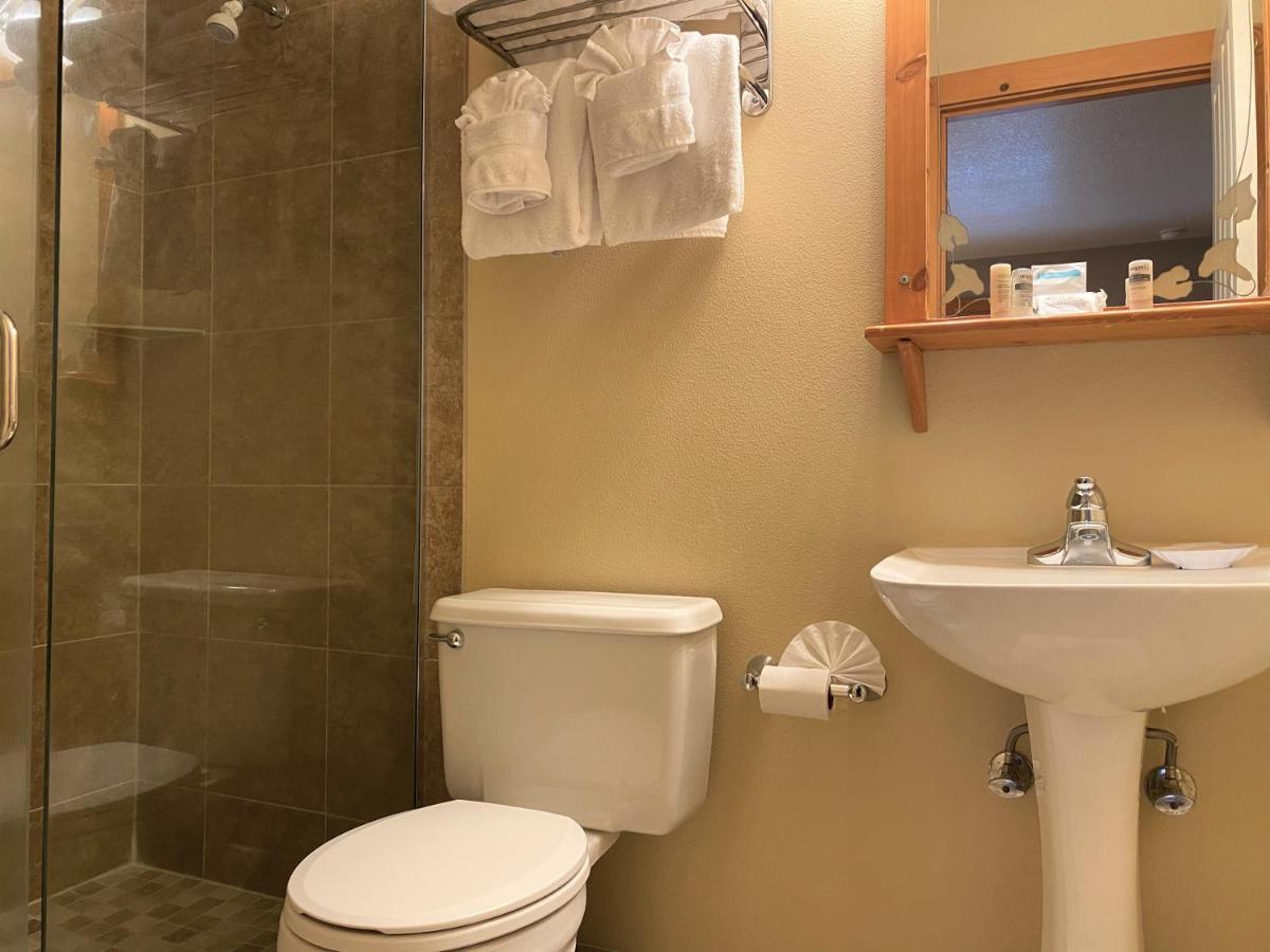 Queen Suite Sofabed 2nd Floor Pets Allowed