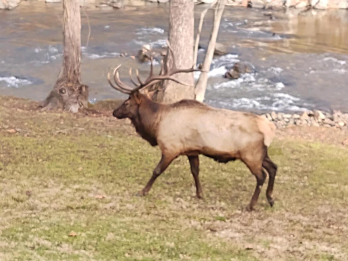 King Room with Balcony - Non-Smoking,1233715700:JPEG