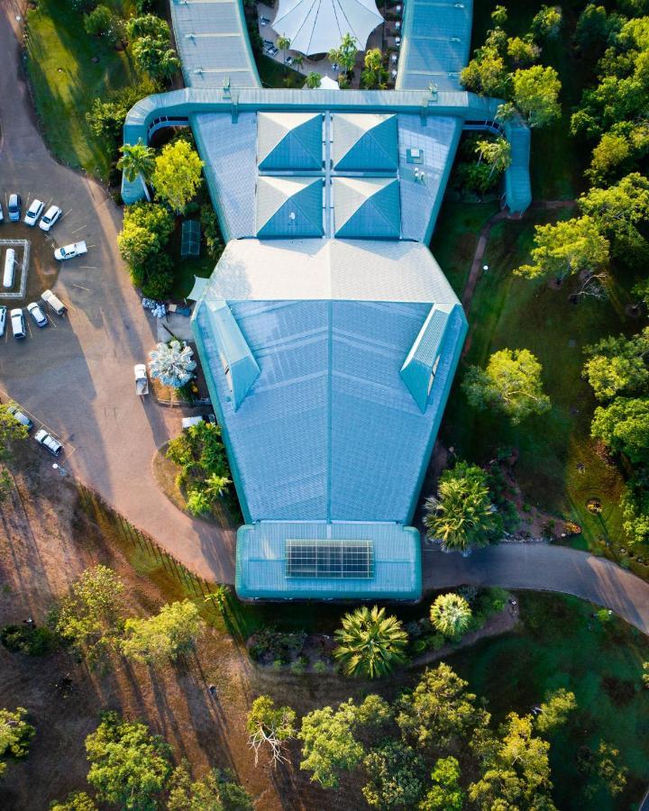 Court Yard Queen,1705625802:JPEG