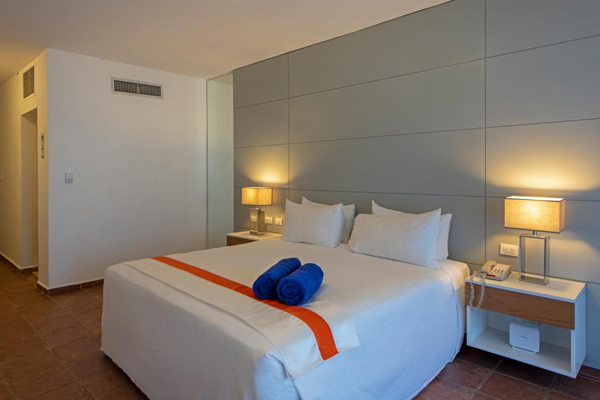 Nirvana King Accessible Room Non-Smoking