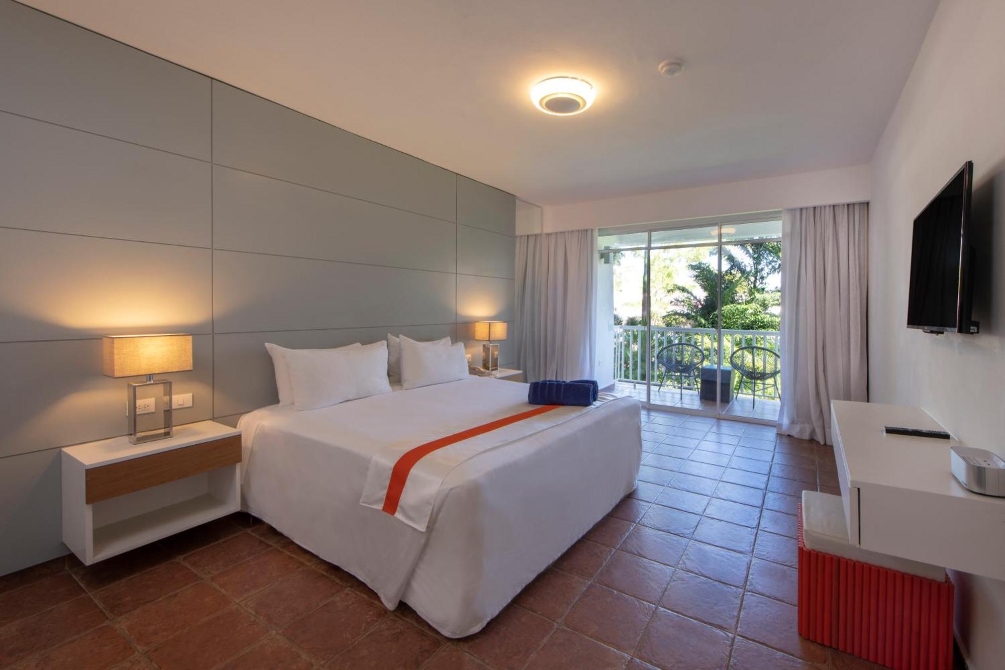 Nirvana King Accessible Room Non-Smoking