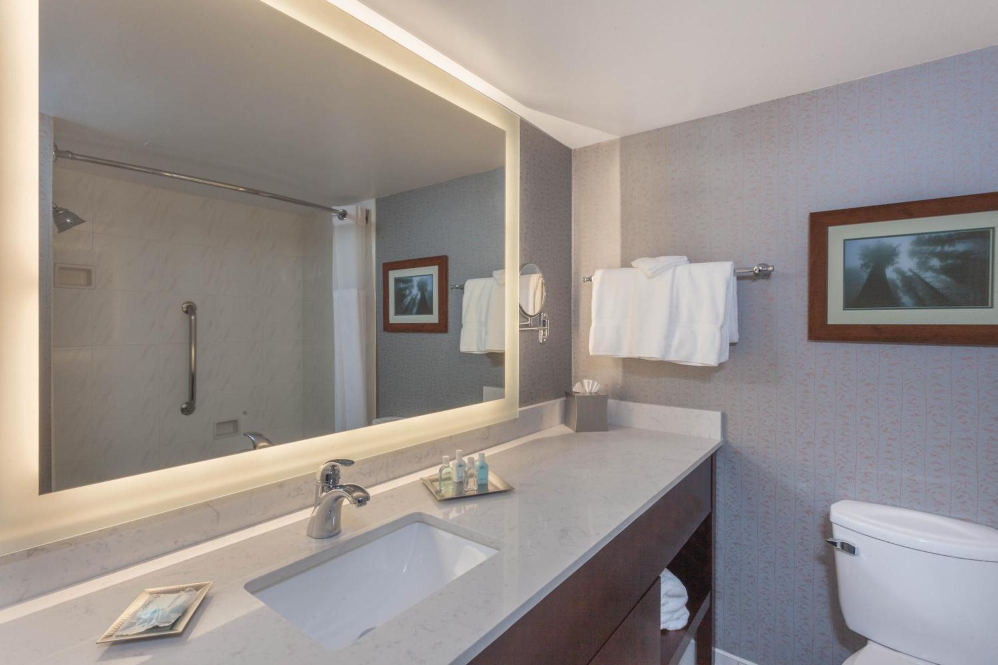 Deluxe One-Bedroom King Suite - Non-Smoking
