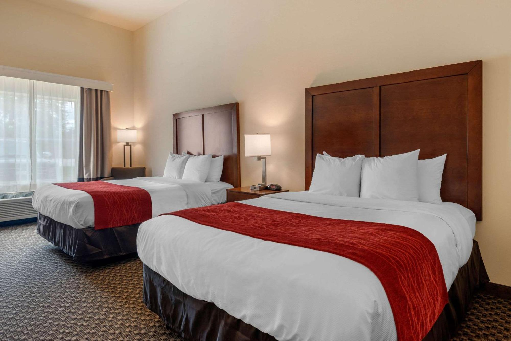Standard Queen Room