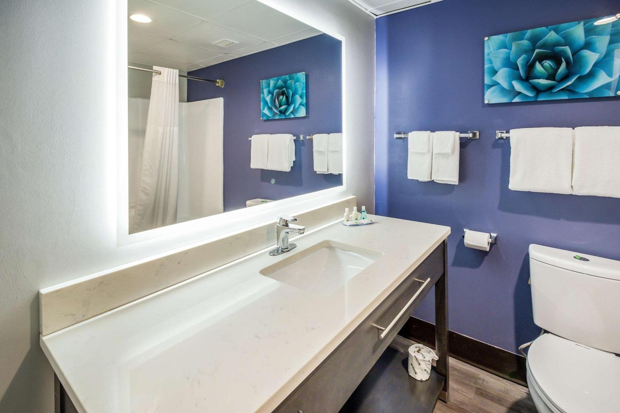 King Room - Non-Smoking,1276868167:JPEG