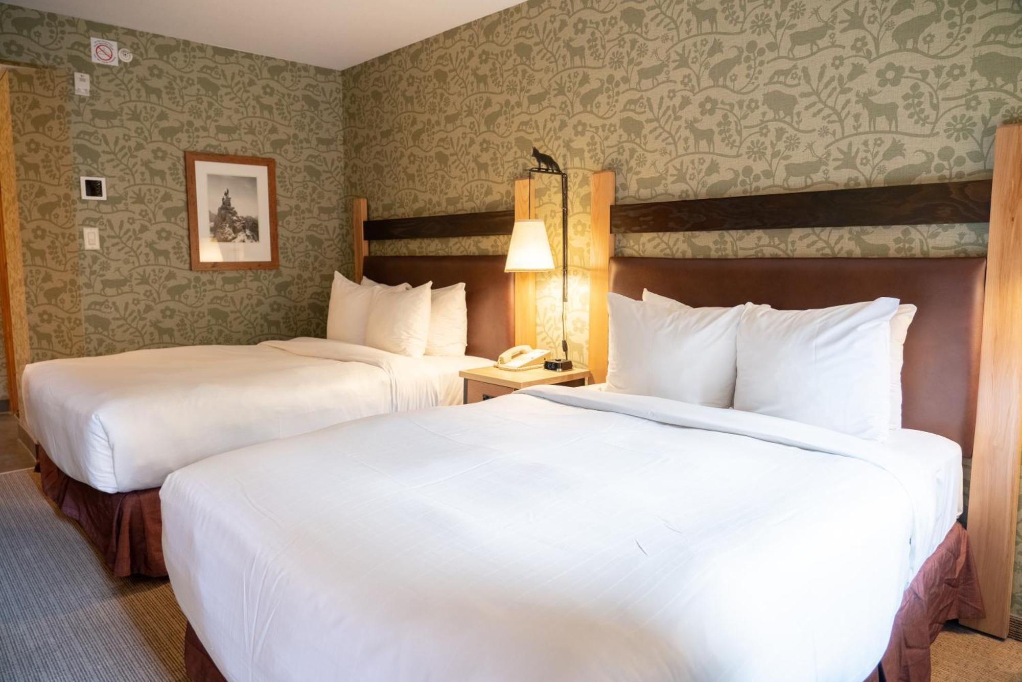 Double Room with Two Double Beds,1277468179:JPEG