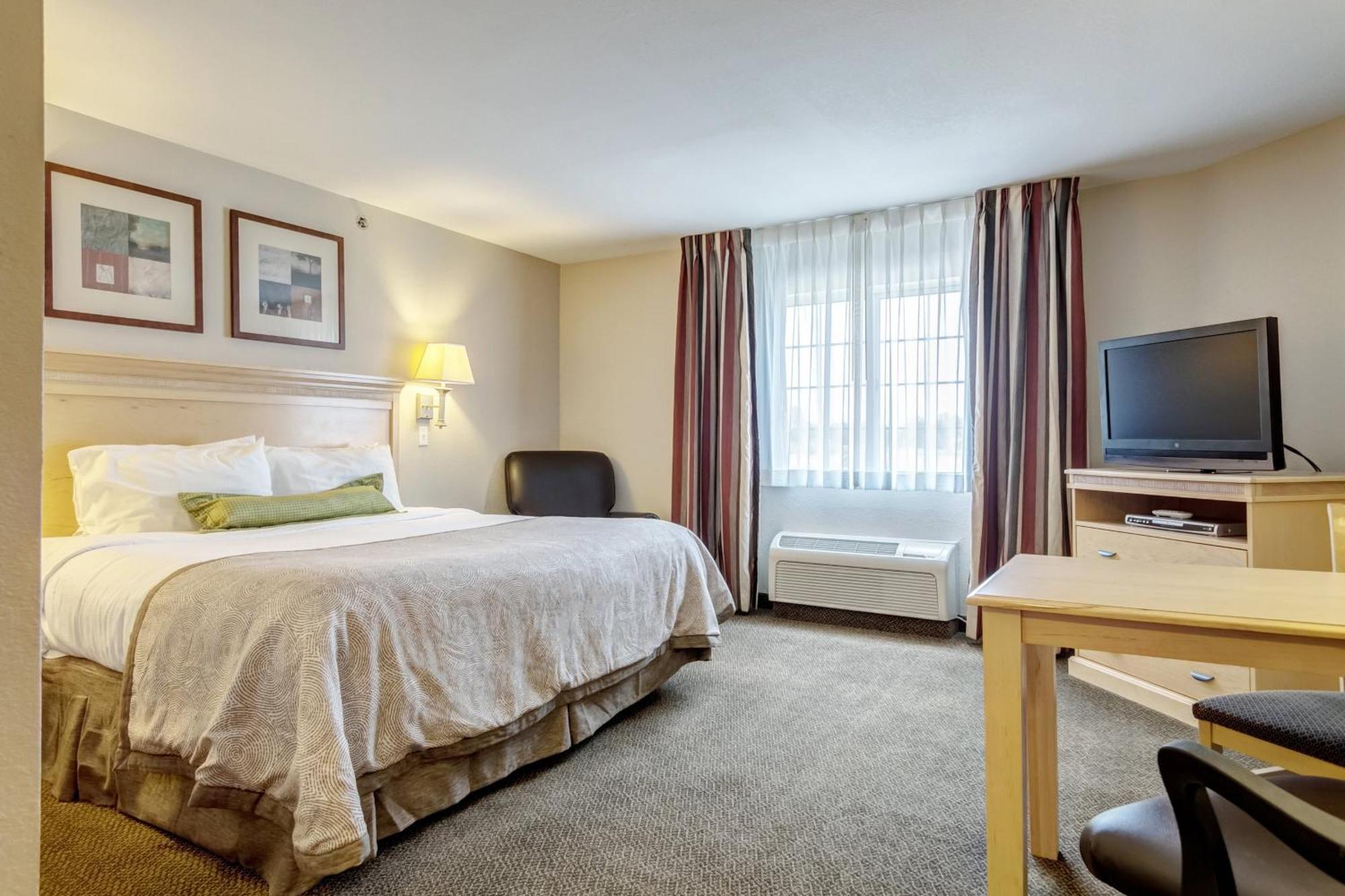 King Studio Suite