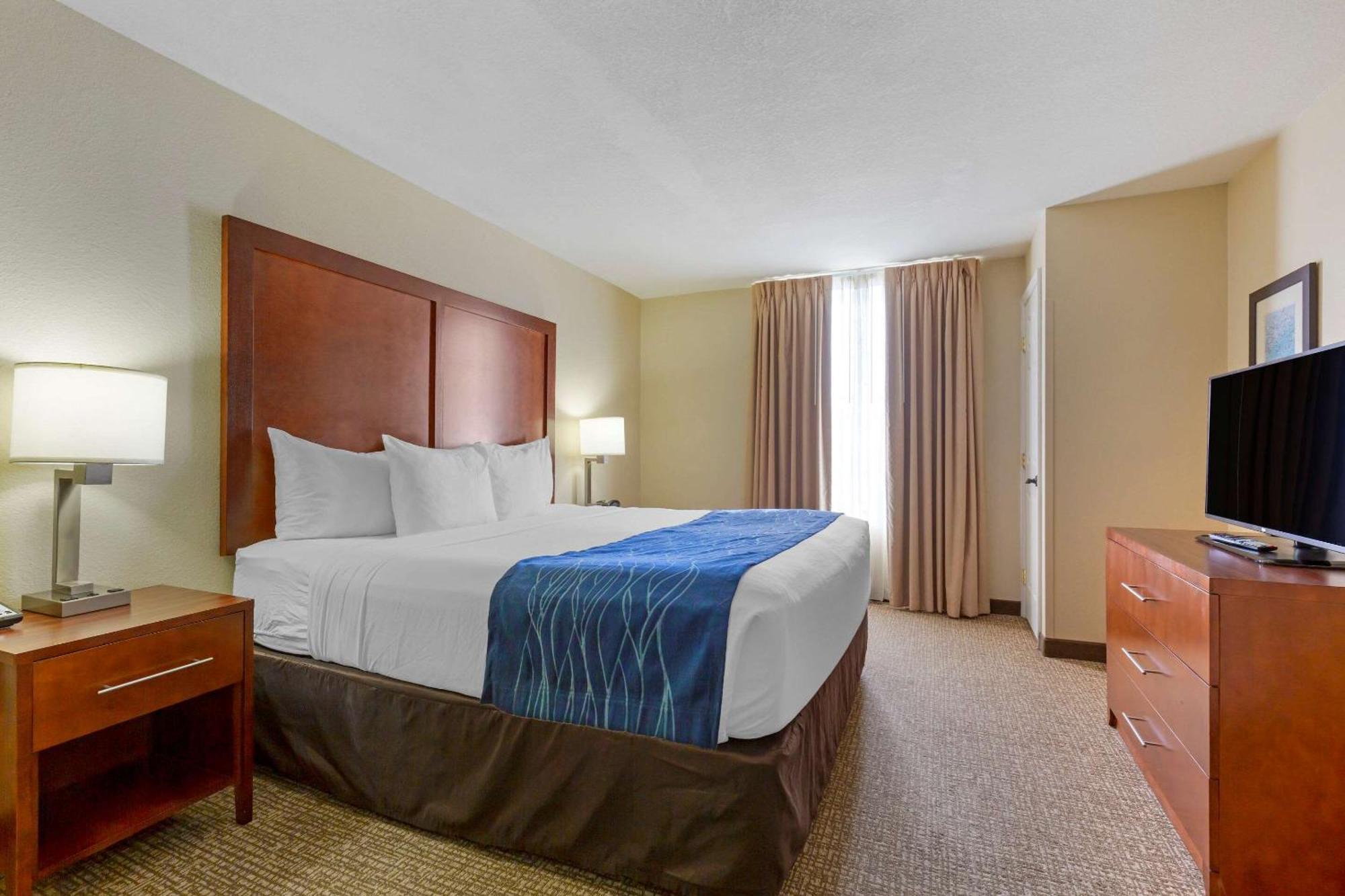 King Suite with Sofa Bed,1280730679:JPEG