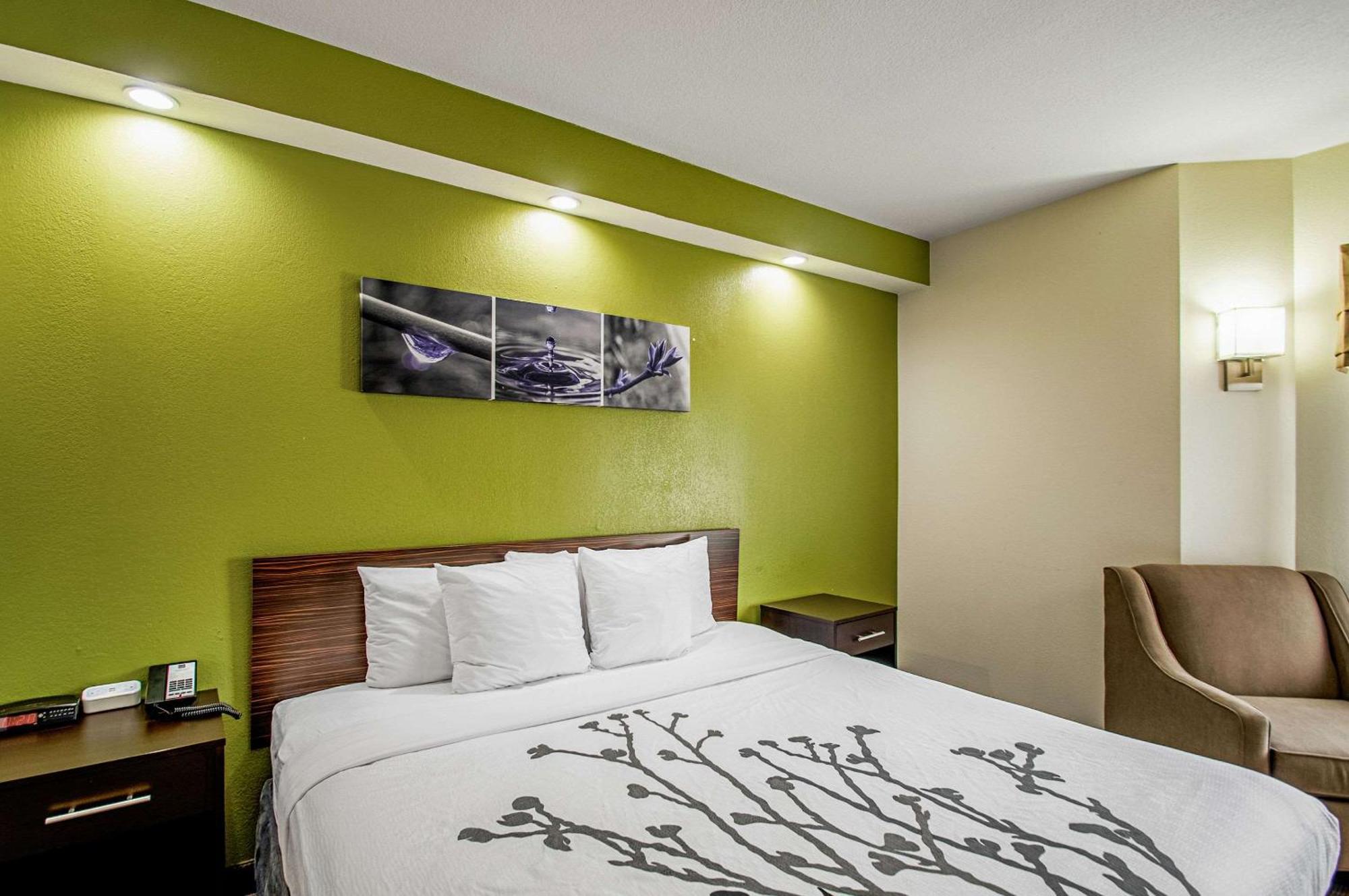 King Room - Non-Smoking,1281405265:JPEG