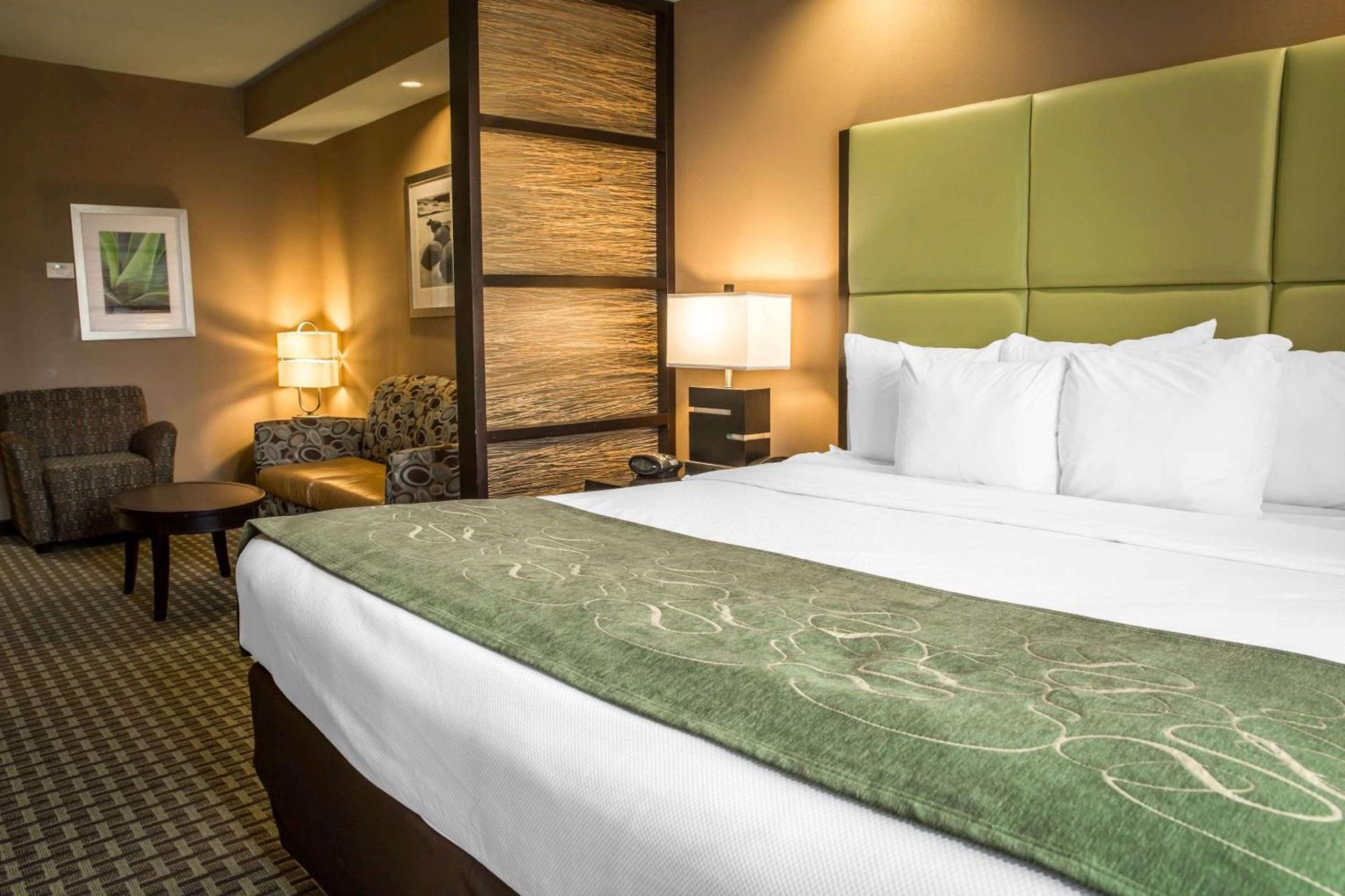 King Suite - Non-Smoking,1281774814:JPEG