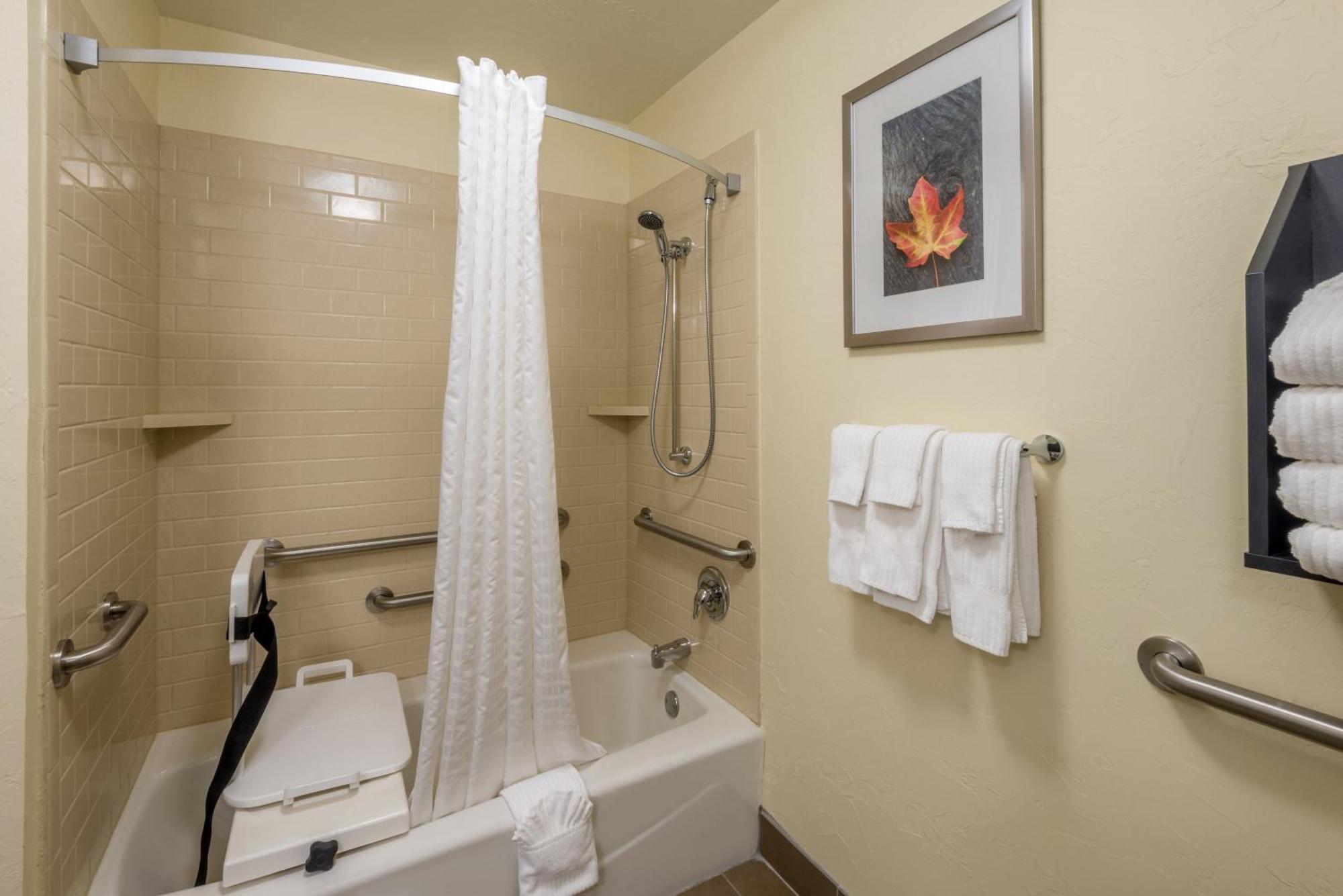 Queen Studio Suite with Two Queen Beds and Mobility Accessible Roll-In Shower, Full Kitchen, Sofa Bed,1281878359:JPEG