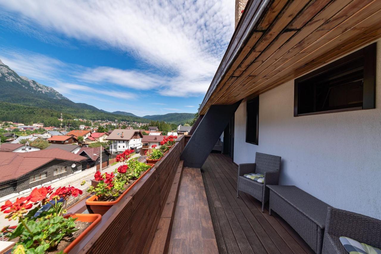 Suite Mountain View