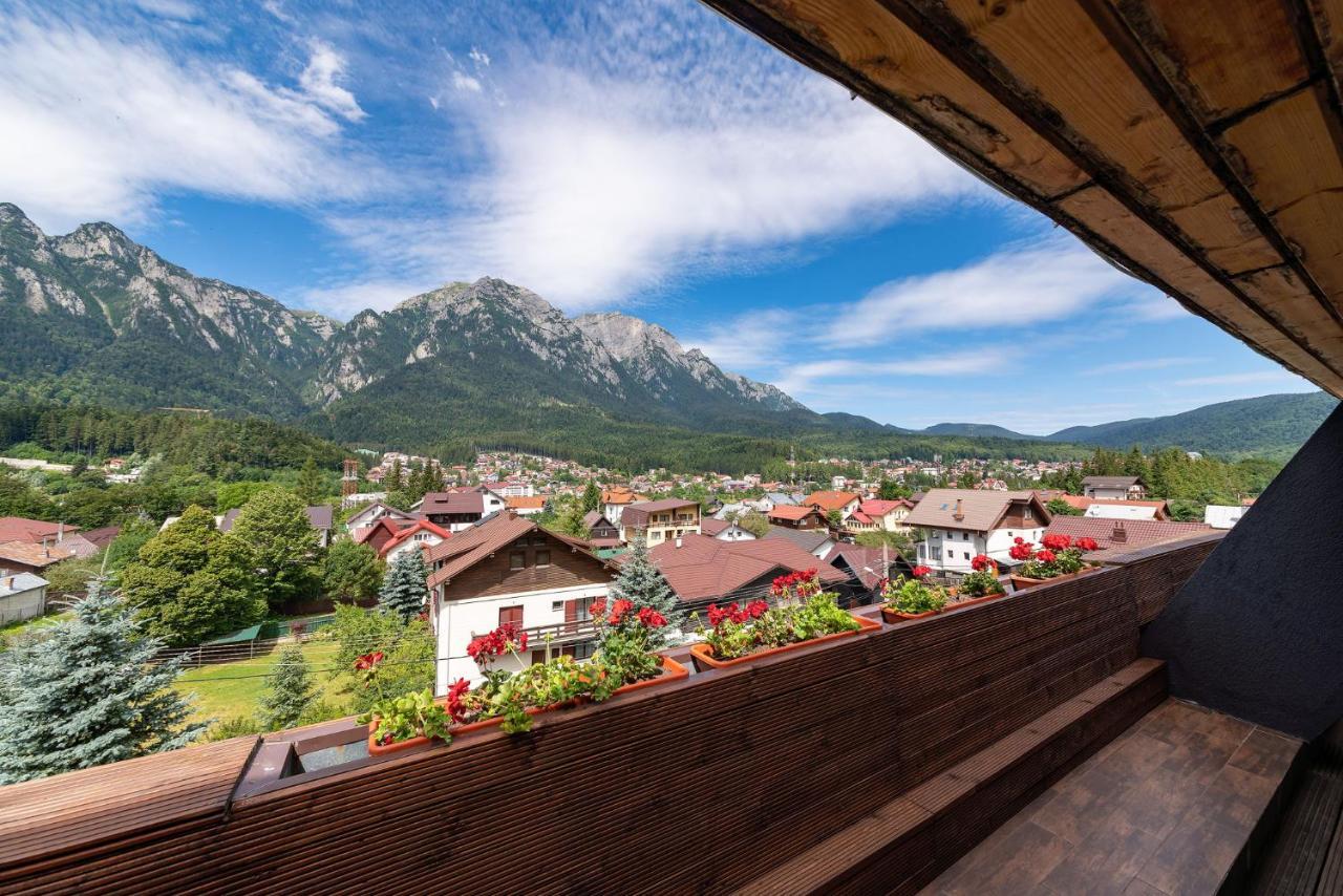 Double Room Mountain View