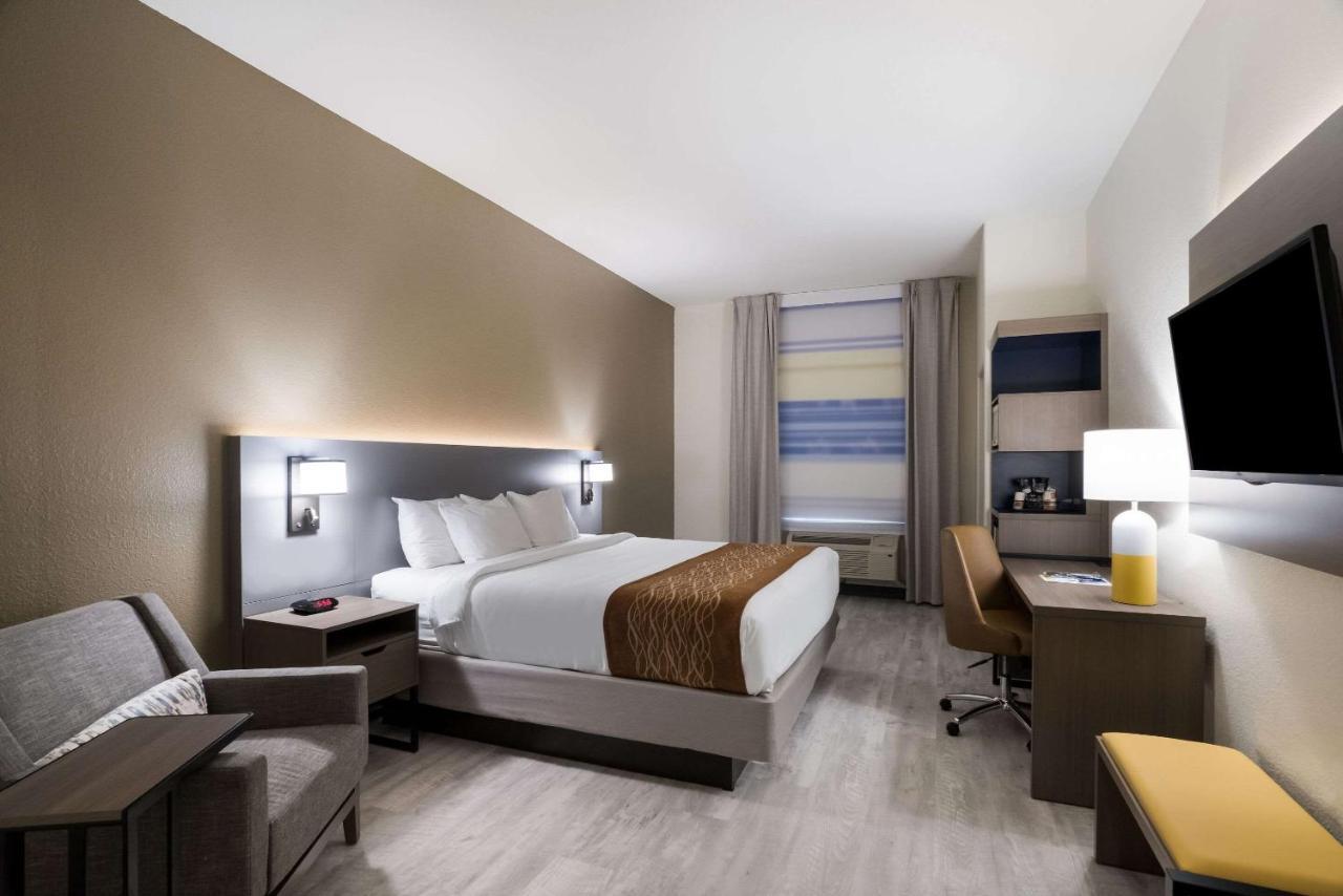 King Room - Non-Smoking,1307320252:JPEG