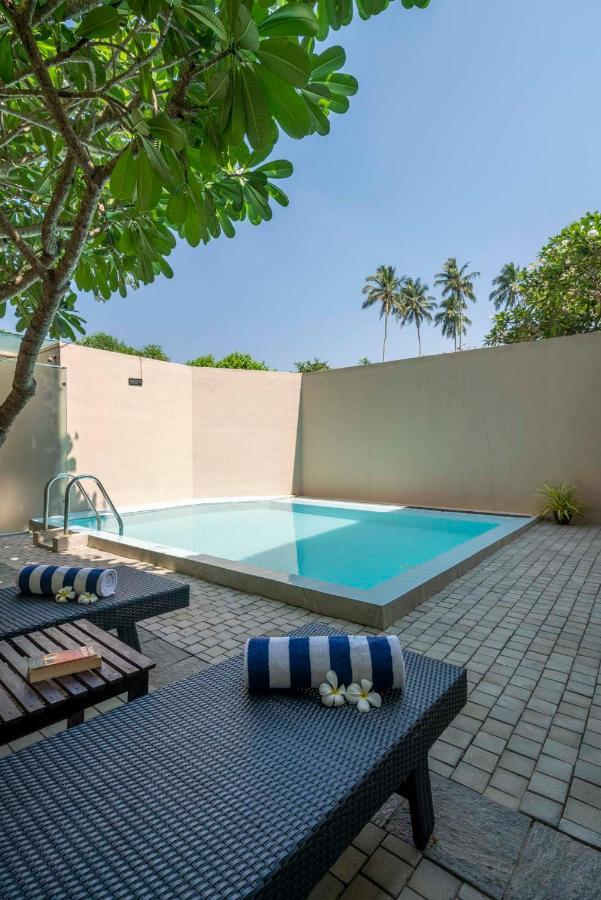 Superior Plunge Pool