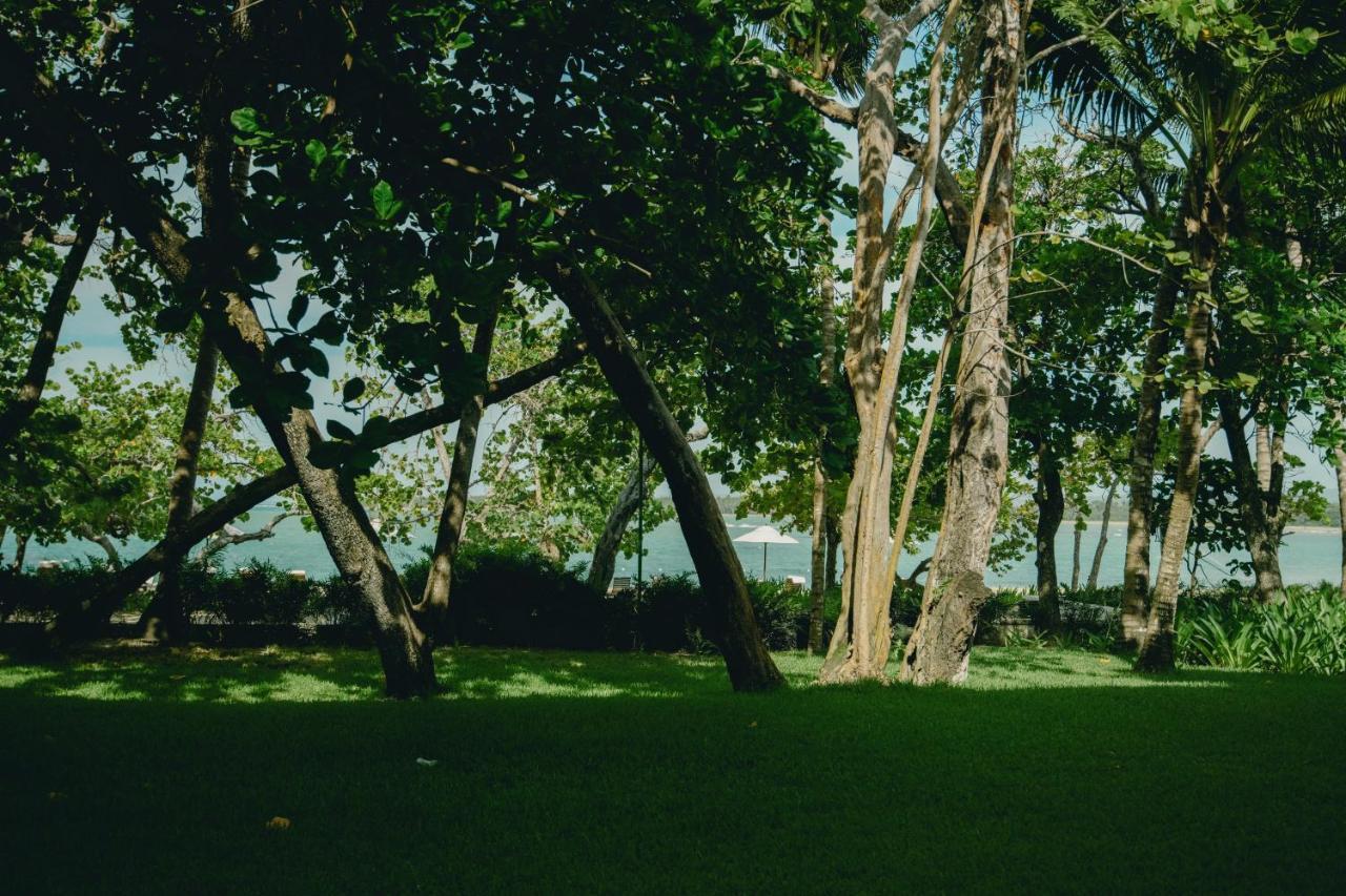 Junior Suite Lanai Ocean Front