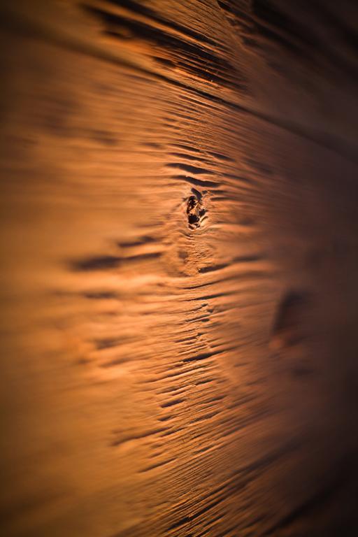 Comfort Single Room,156944178:JPEG