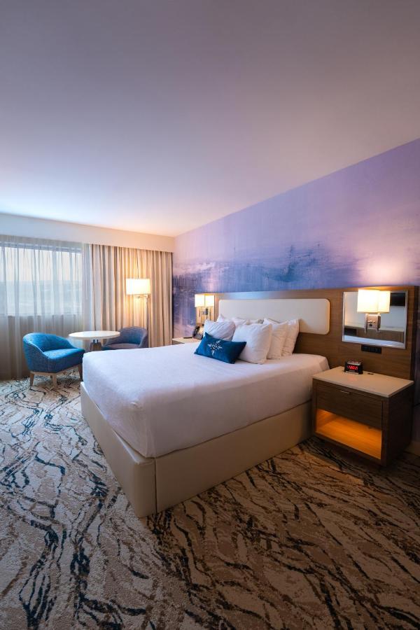 Deluxe King Suite