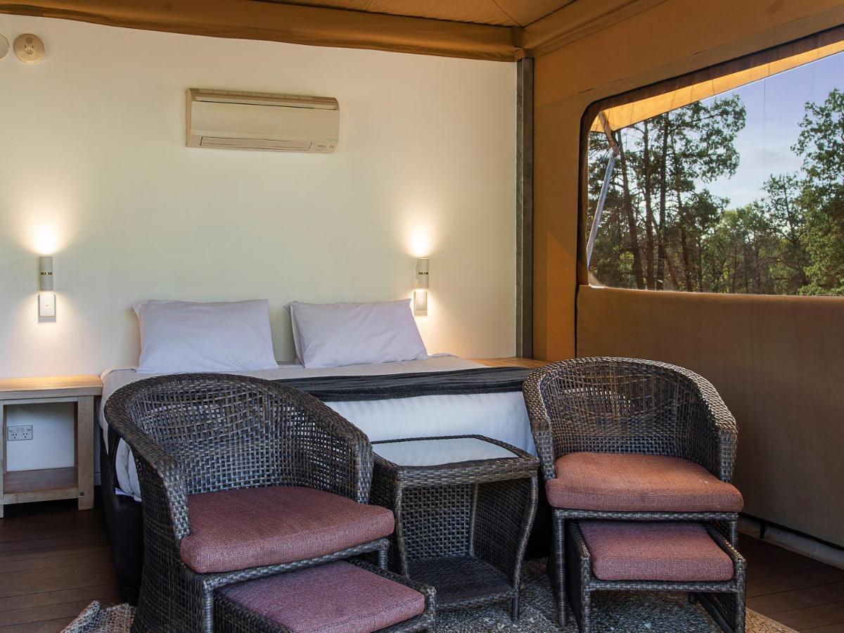 Safari Tent