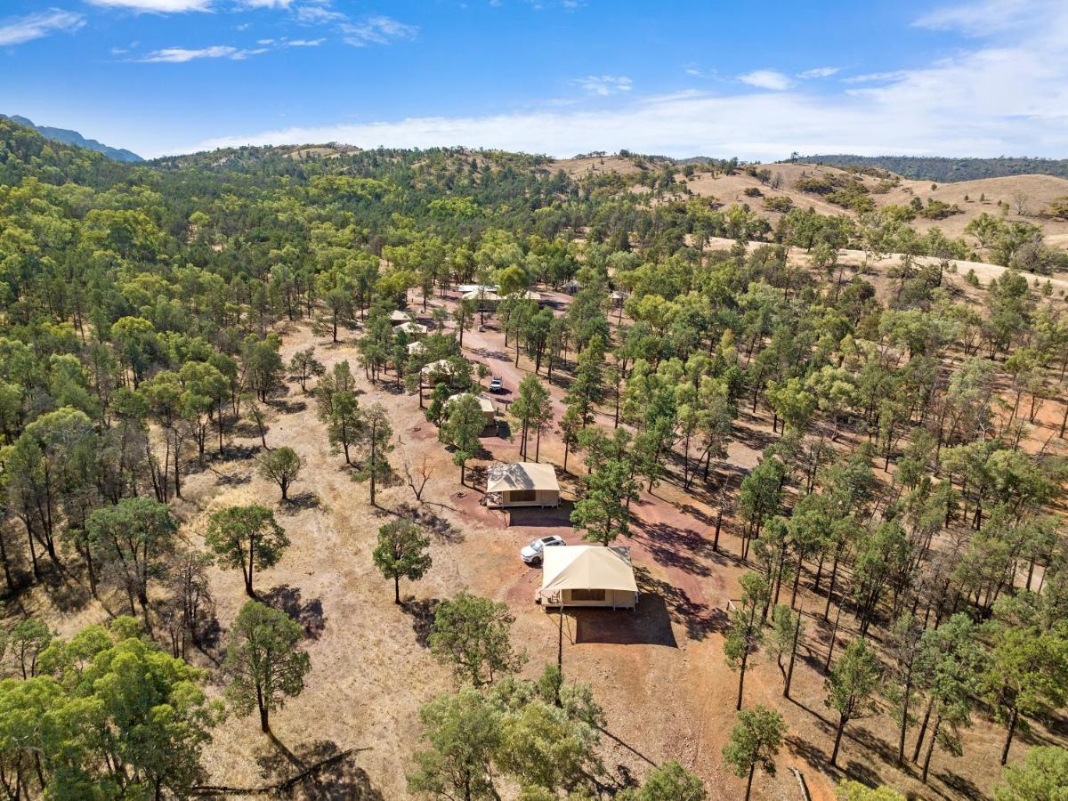 Safari Tent