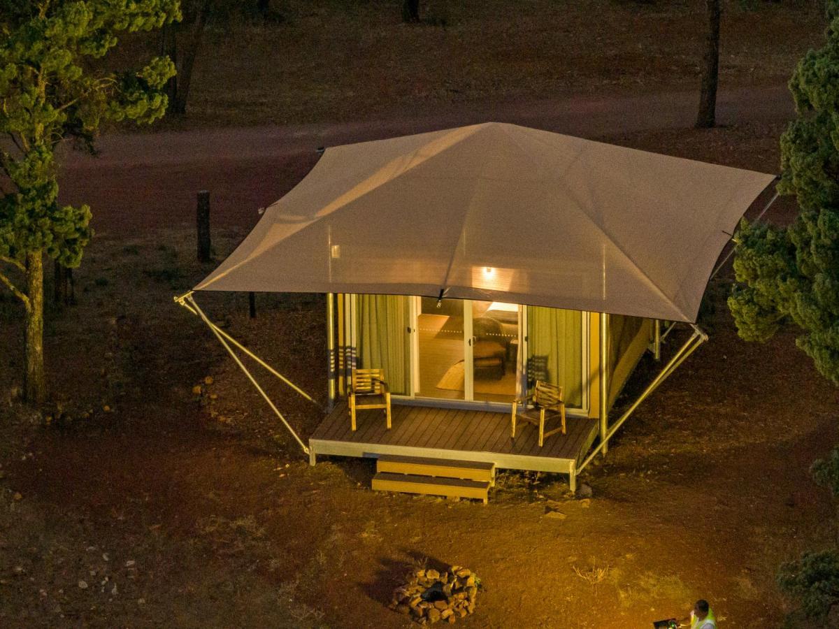 Safari Tent