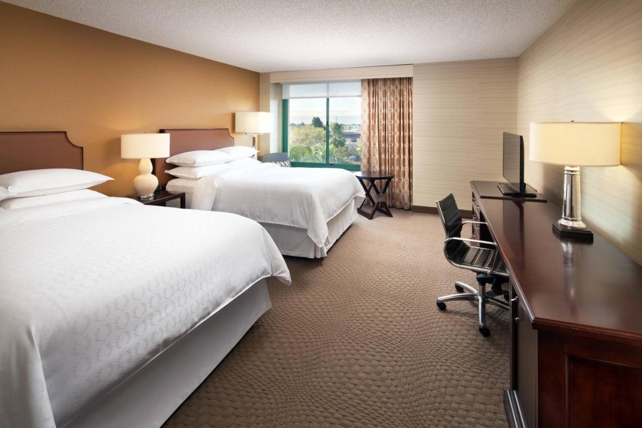 Club level 1 Bedroom 2 room Suite 2 Queen Sofa bed,705637792:JPEG