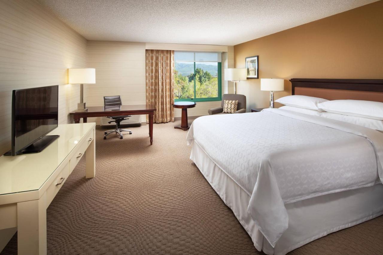 Guest Room 1 King,1405548974:JPEG