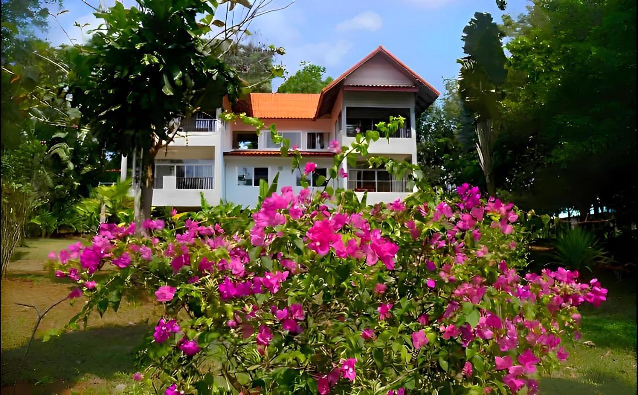 Garden View Suite