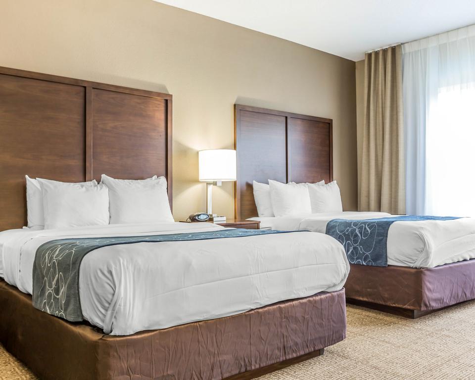 Standard Queen Suite with Two Queen Beds - Non-Smoking