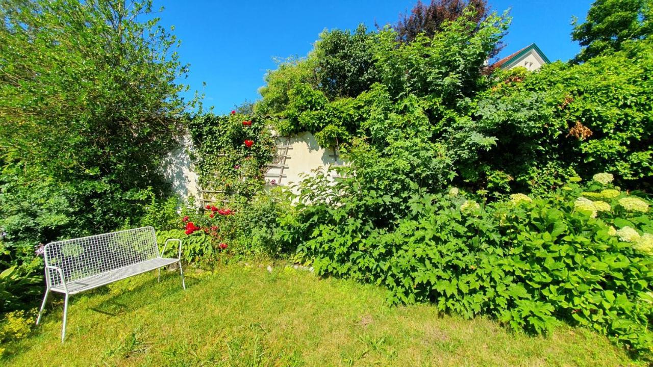 Apartment Garden View