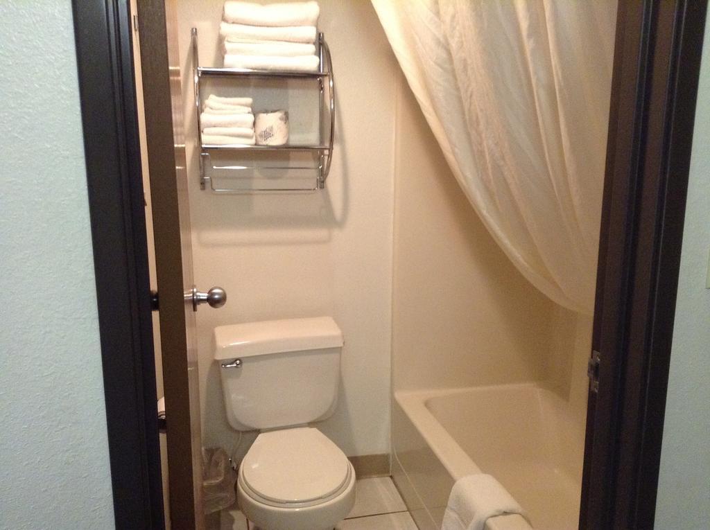 Standard Single Room,1284637327:JPEG