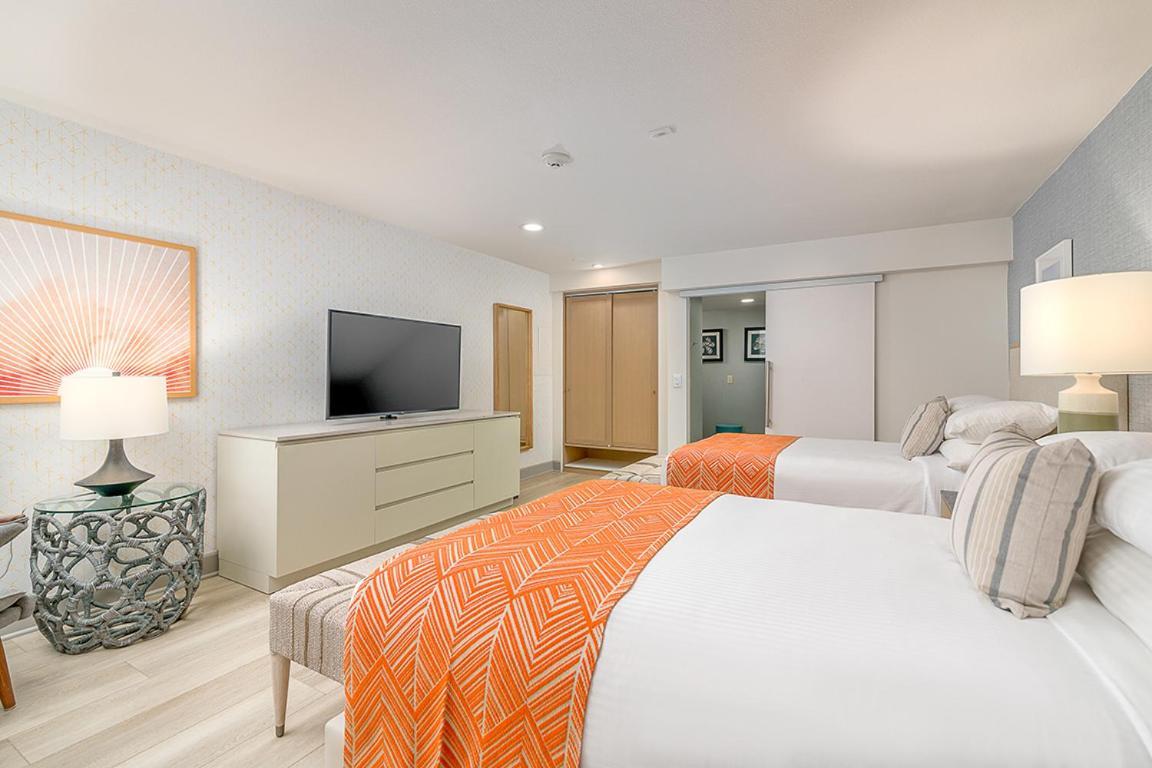 Standard Double Room Two Double Beds