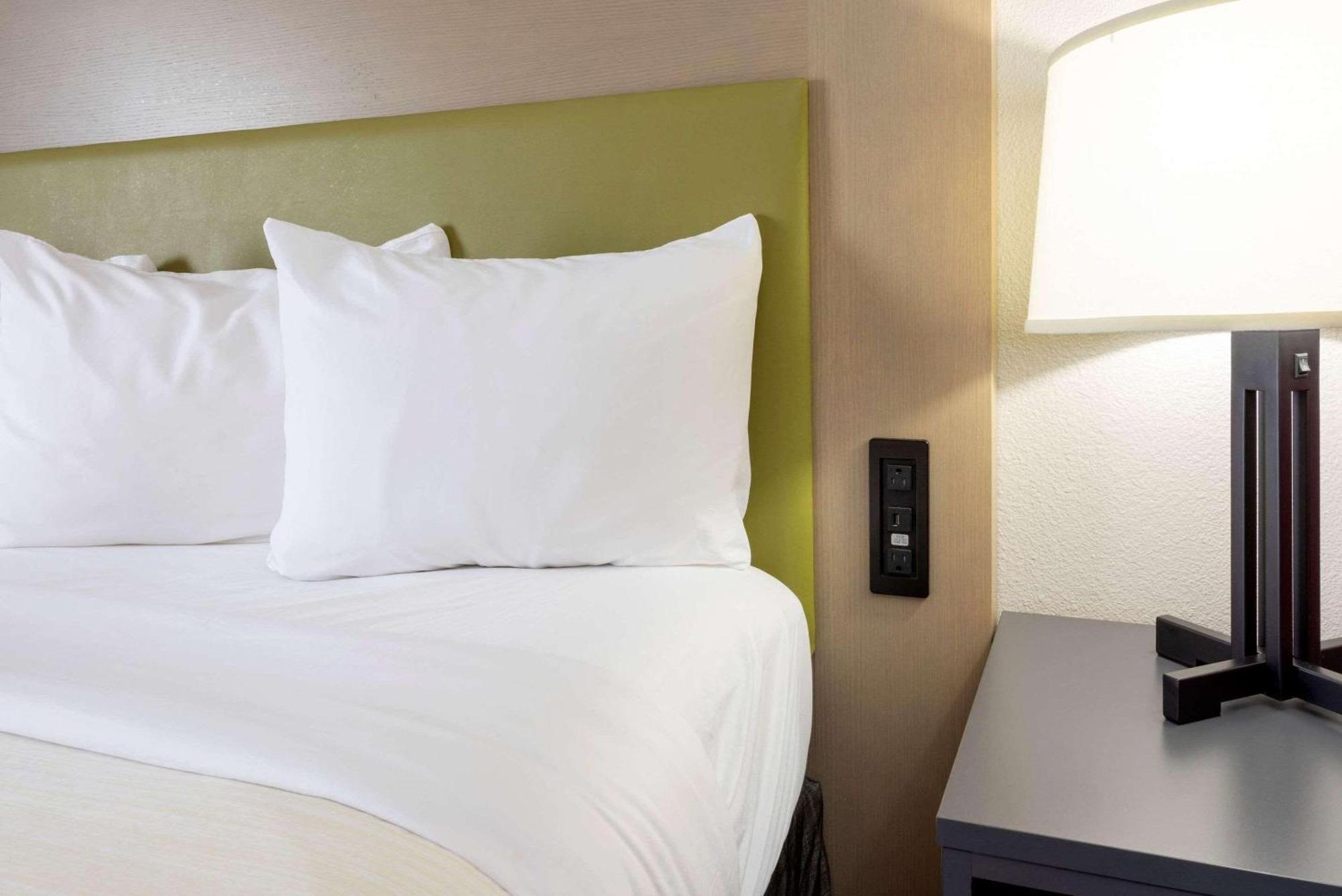 One-Bedroom King Suite,1449297730:JPEG