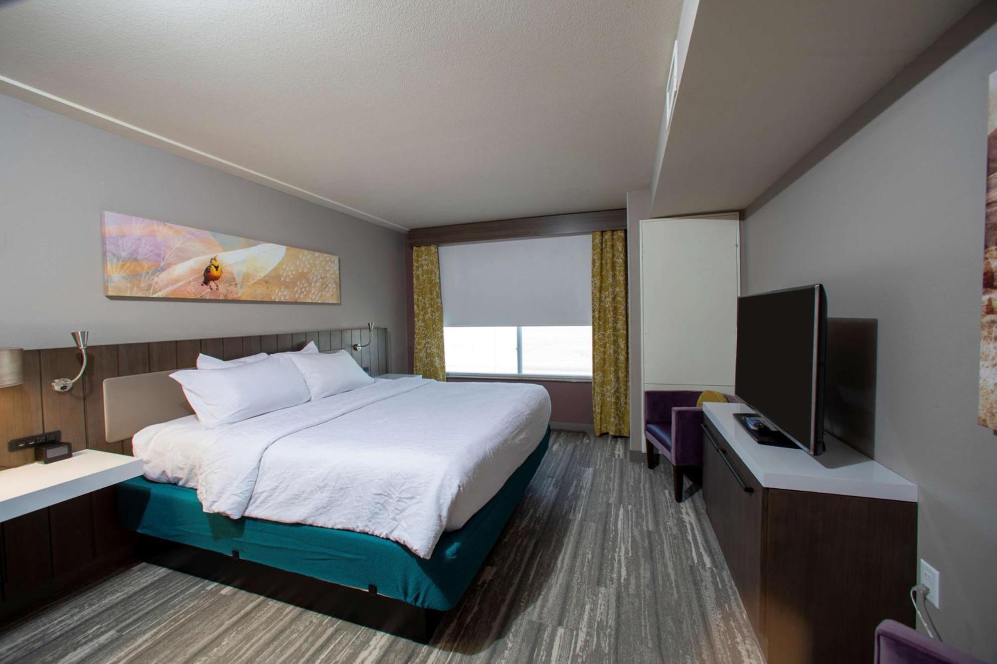 Junior King Suite with Sofa Bed,1449425152:JPEG