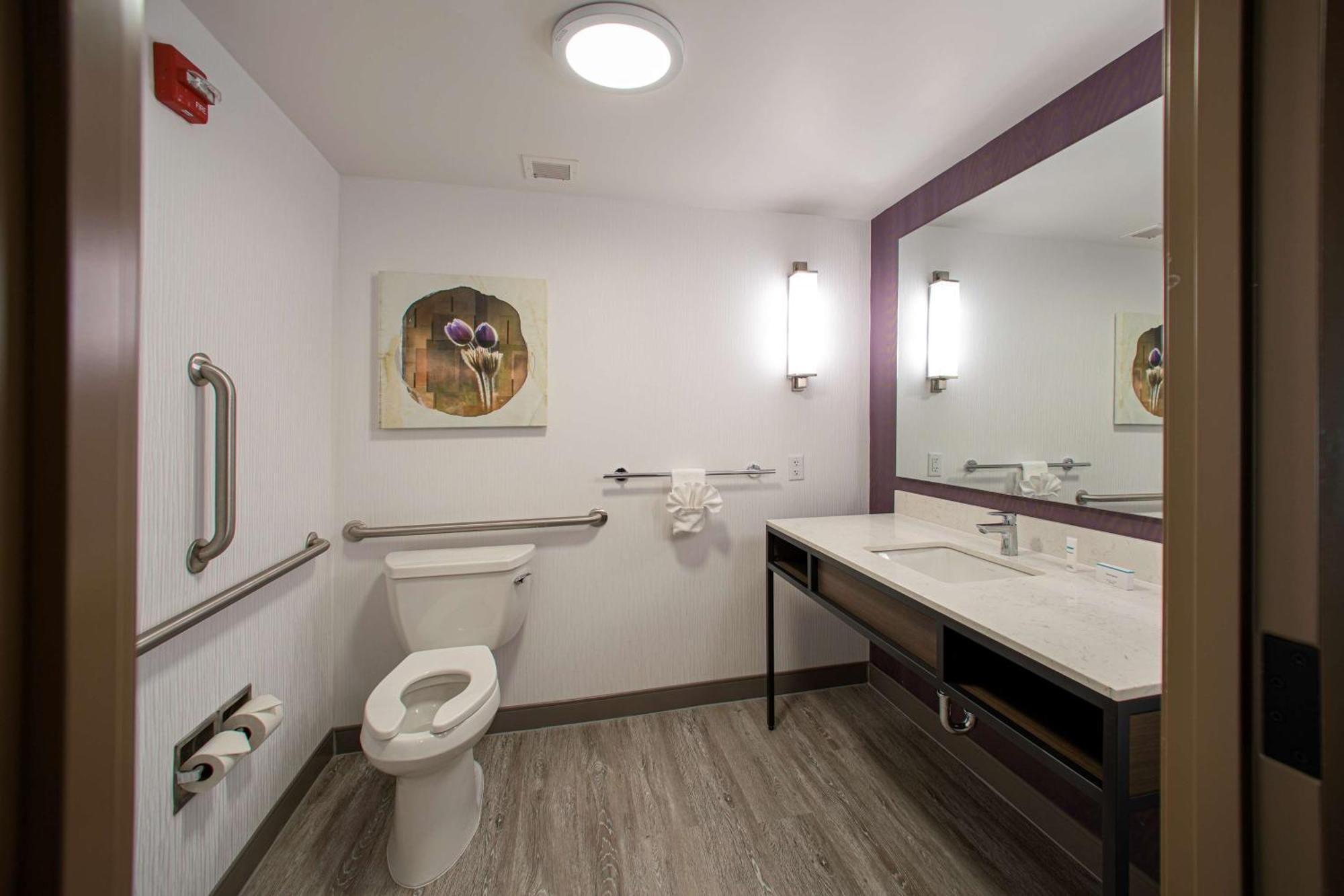 One-Bedroom King Suite