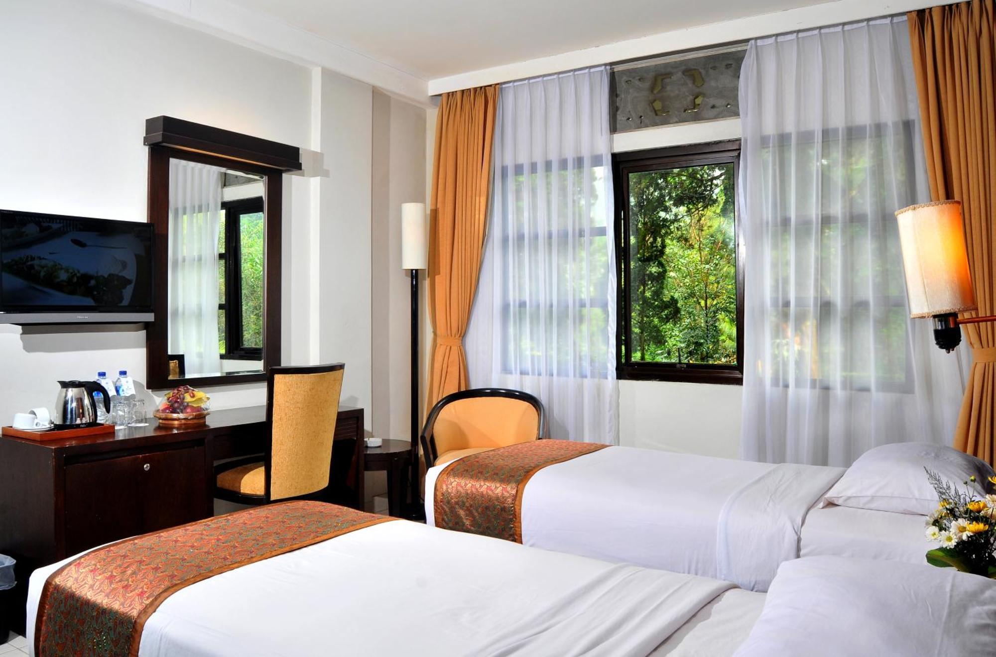 Deluxe Double or Twin Room
