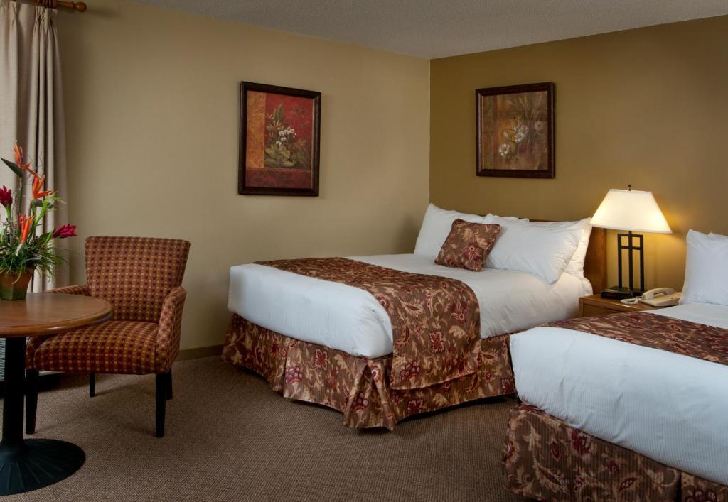 Double Room with Two Double Beds,14680049:JPEG